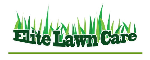 Elite Lawn Care – Add the green to your lawn!
