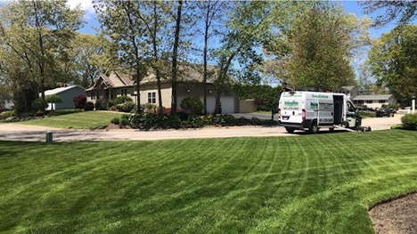 Elite Lawn Care Add The Green To Your, Elite Lawn Care And Landscaping
